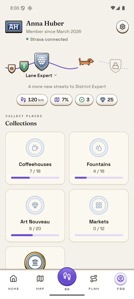 The Strolly map: the streets you have walked, in violet.